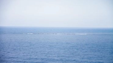Passeio Ilha dos lobos